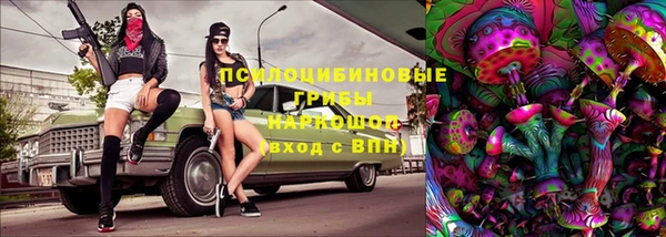 а пвп мука Новозыбков