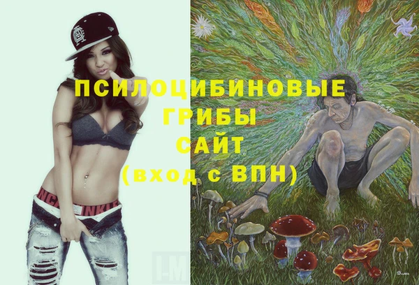 гидропоника Няндома