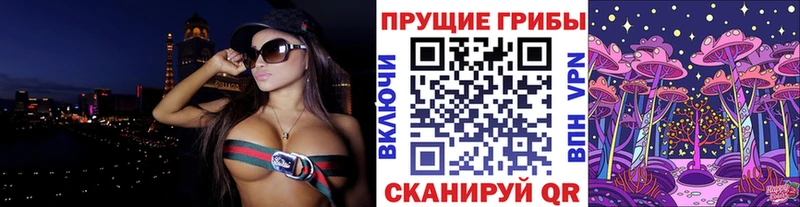 MEGA зеркало  купить наркотики сайты  Починок  Галлюциногенные грибы мицелий 